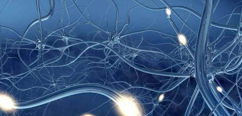 nerve-regeneration-960x600-1 (1)