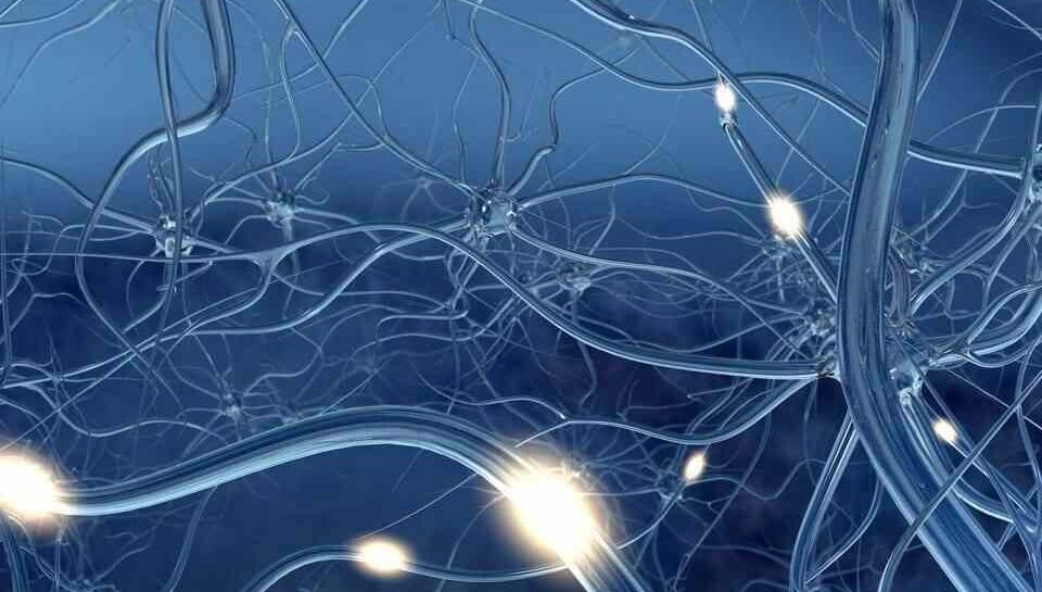 nerve-regeneration-960x600-1 (1)